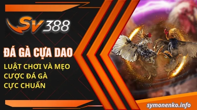 đá gà cựa dao