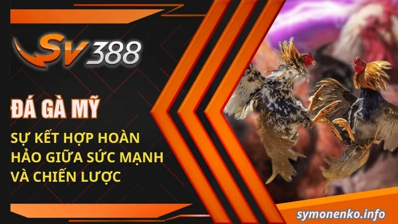 đá gà Mỹ