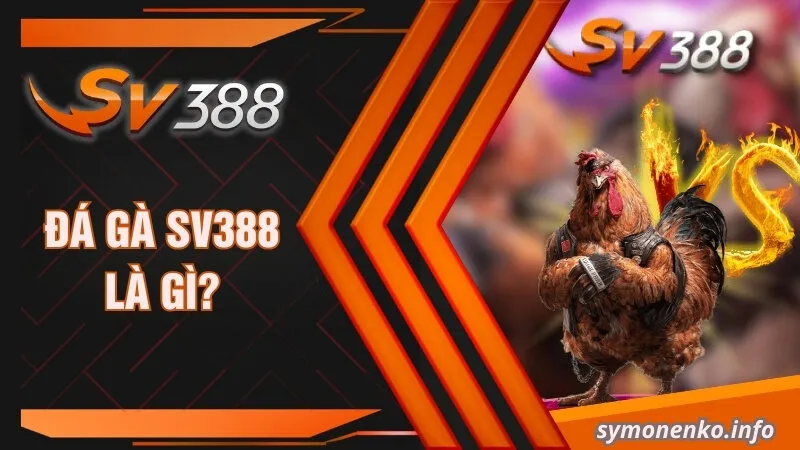 Đá gà SV388 là gì?