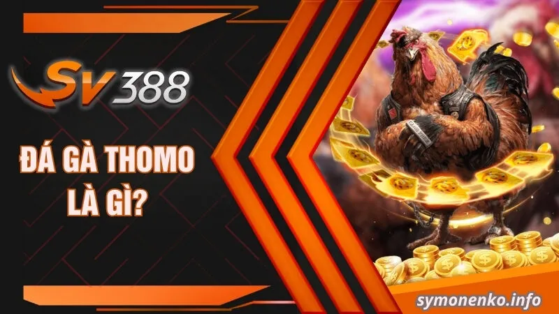 Đá Gà Thomo| Mách Bạn Những Sự Thật Bí Ẩn Xung Quanh Nó 1 Đá gà Thomo là gì?