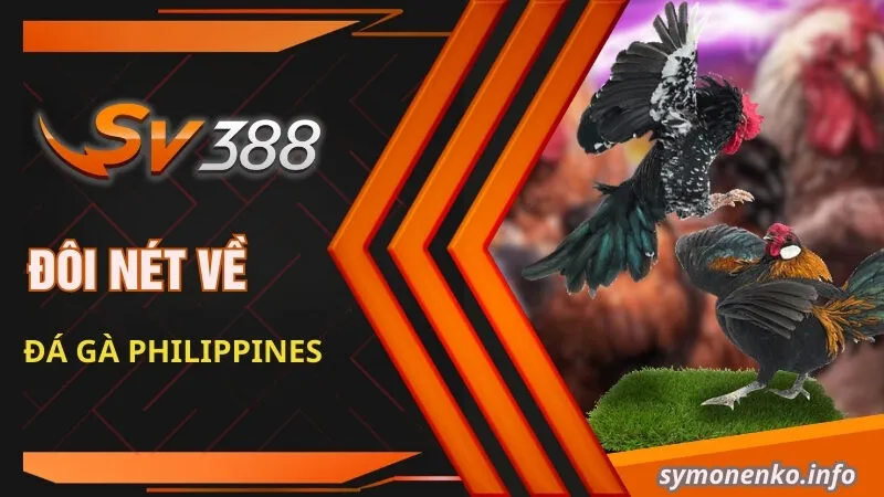 Đá Gà Philippines - Trải Nghiệm Không Khí Sôi Động, Thăng Hoa 1 Đôi nét về đá gà Philippines