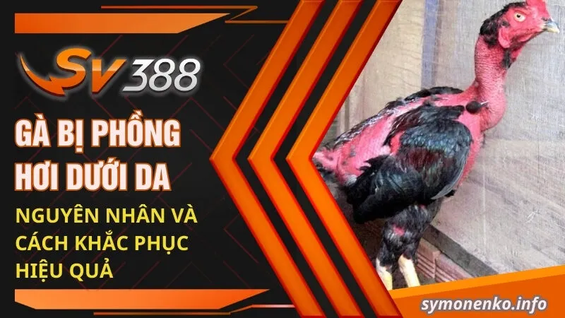 ga bi phong hoi duoi da nguyen nhan va cach khac phuc hieu qua