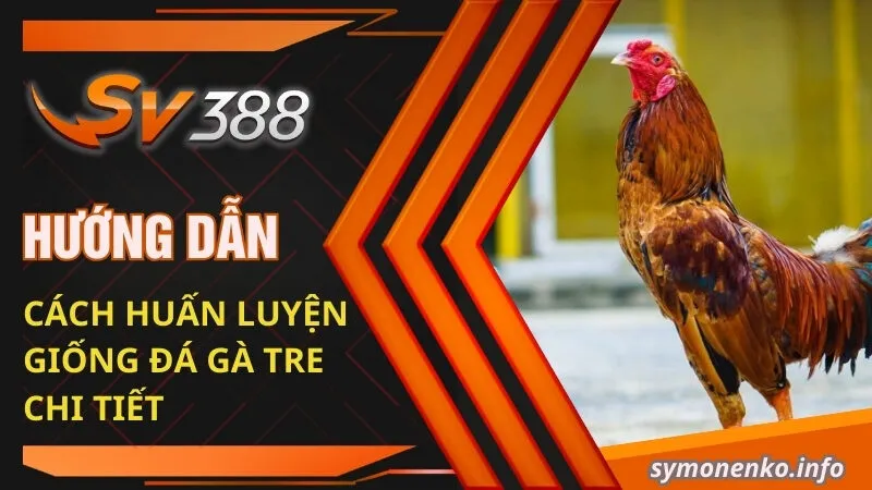 Đá Gà Tre Và Những Bí Mật Chưa Ai Tiết Lộ Cho Bạn 3 Hướng dẫn cách huấn luyện giống đá gà tre chi tiết