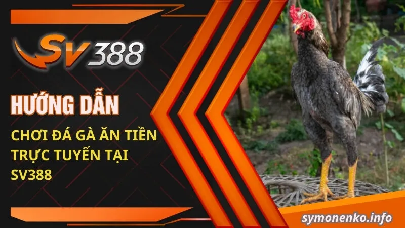 Kinh Nghiệm Chơi Đá Gà Ăn Tiền Trực Tuyến Luôn Thắng 2025 3 Hướng dẫn chơi đá gà ăn tiền trực tuyến tại SV388