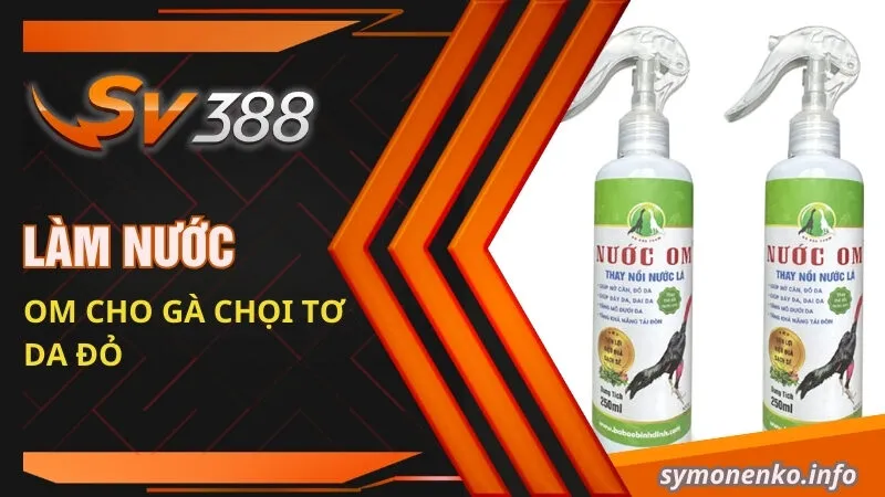 Cách Om Gà Chọi Tơ Cực Đơn Giản Và Hữu Hiệu Cho Sư Kê 4 Làm nước om cho gà chọi tơ da đỏ