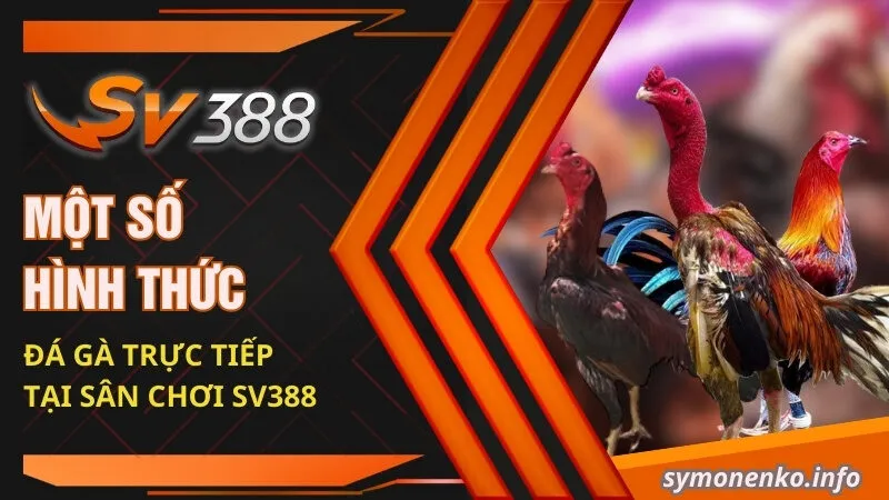 Một số hình thức đá gà trực tiếp tại sân chơi SV388