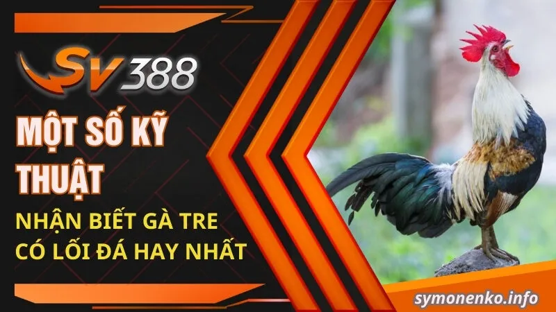 Đá Gà Tre Và Những Bí Mật Chưa Ai Tiết Lộ Cho Bạn 2 Một số kỹ thuật nhận biết gà tre có lối đá hay nhất