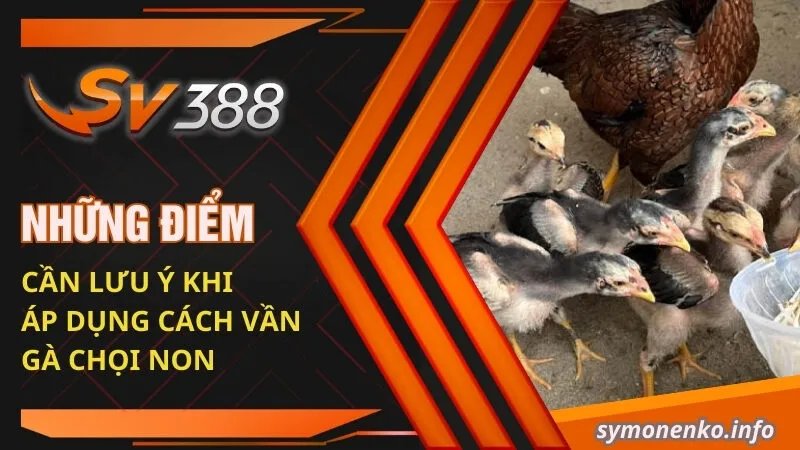 Cách Vần Gà Chọi Non: Tuyệt Chiêu Giúp Chiến Kê Toàn Thắng 5 Những điểm cần lưu ý khi áp dụng cách vần gà chọi non