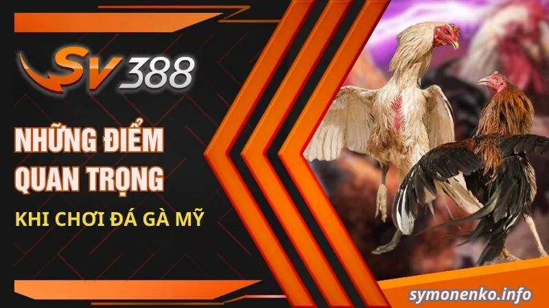Đá Gà Mỹ - Sự Kết Hợp Hoàn Hảo Giữa Sức Mạnh Và Chiến Lược 3 Những điểm quan trọng khi chơi đá gà Mỹ