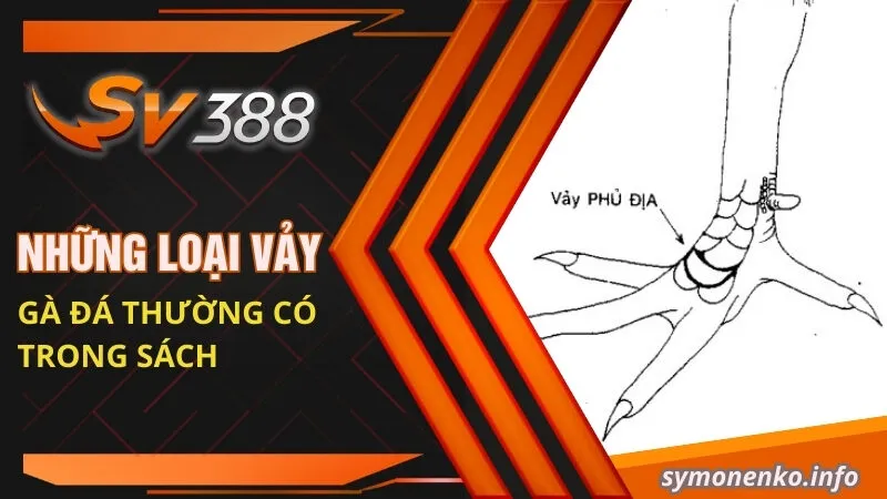 Sách coi vảy gà | Cách chọn vảy gà đá ĐỘC - LẠ - ĐẸP 2 Những loại vảy gà đá thường có trong sách