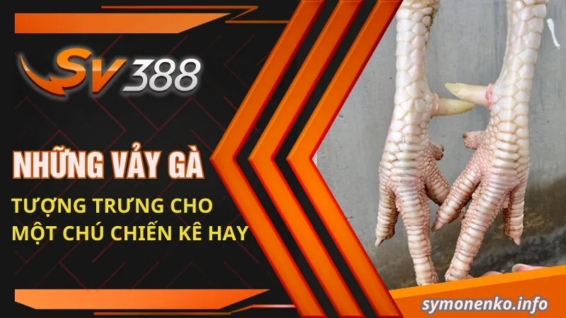 Sách coi vảy gà | Cách chọn vảy gà đá ĐỘC - LẠ - ĐẸP 3 Những vảy gà tượng trưng cho một chú chiến kê hay