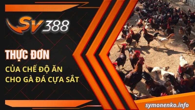 Thực Đơn Chế Độ Ăn Cho Gà Đá Cựa Sắt Hiệu Quả Nhất 2025 2 Thực đơn của chế độ ăn cho gà đá cựa sắt