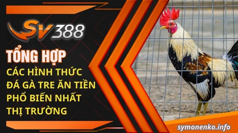 Đá Gà Tre Và Những Bí Mật Chưa Ai Tiết Lộ Cho Bạn 4 Tổng hợp các hình thức đá gà tre ăn tiền phổ biến nhất thị trường