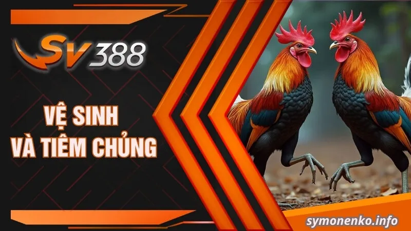 Thực Đơn Chế Độ Ăn Cho Gà Đá Cựa Sắt Hiệu Quả Nhất 2025 4 Vệ sinh và tiêm chủng