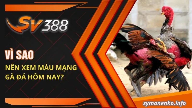 Cách Xem Màu Mạng Đá Gà Hôm Nay Mới Nhất 2025 2 Vì sao nên xem màu mạng gà đá hôm nay?