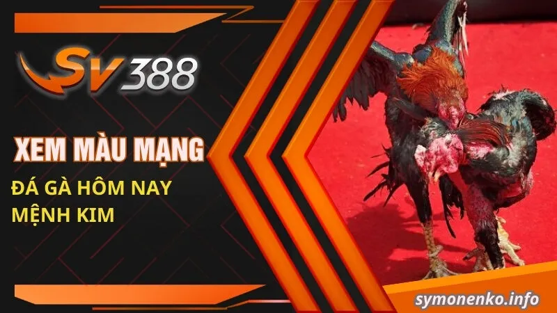 Cách Xem Màu Mạng Đá Gà Hôm Nay Mới Nhất 2025 3 Xem màu mạng đá gà hôm nay mệnh Kim