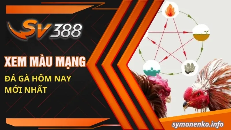 Cách Xem Màu Mạng Đá Gà Hôm Nay Mới Nhất 2025 1 Xem màu mạng đá gà hôm nay mới nhất
