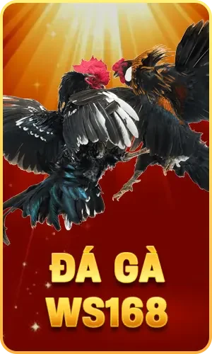 Trang chủ 24 da ga ws168