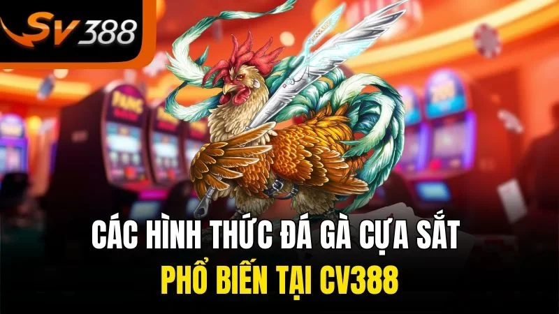 Những Điều Thú Vị Về Đá Gà Cựa Sắt Tại SV388 Bạn Không Thể Bỏ Lỡ 2 Các hình thức đá gà cựa sắt phổ biến tại SV388