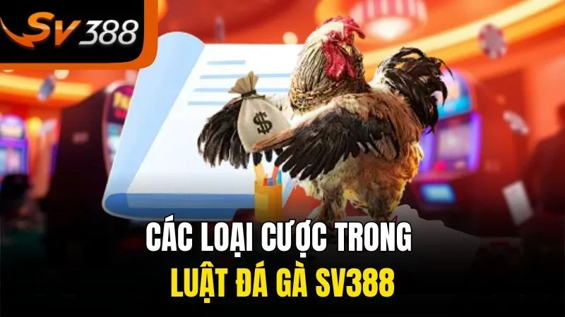Hướng Dẫn Đầy Đủ Về Luật Đá Gà SV388 Cho Tân Thủ 3 Các loại cược trong luật đá gà SV388