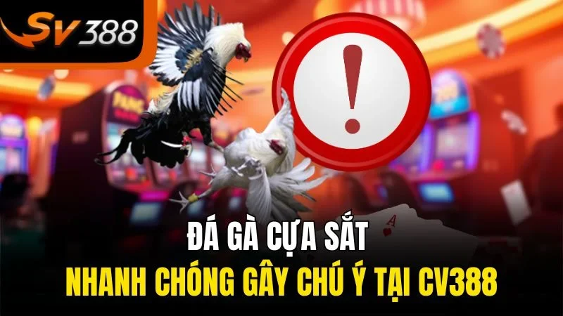 Những Điều Thú Vị Về Đá Gà Cựa Sắt Tại SV388 Bạn Không Thể Bỏ Lỡ 1 Đá gà cựa sắt nhanh chóng gây chú ý tại SV388