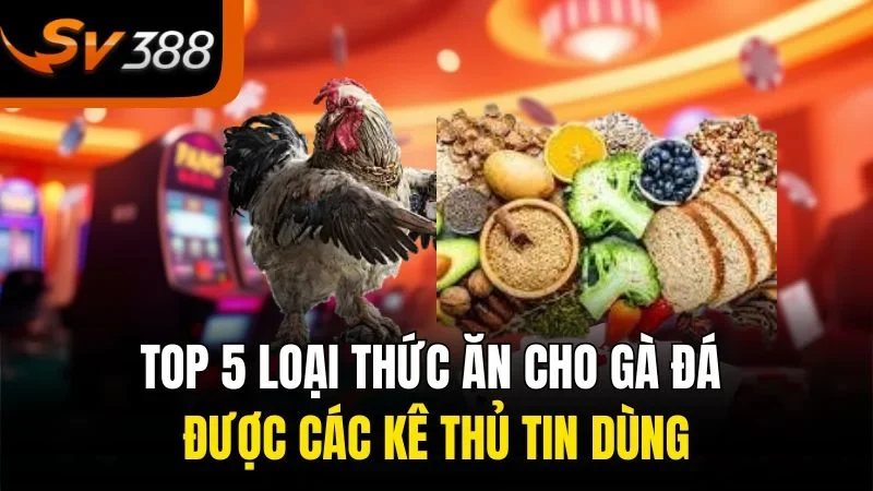 Lựa Chọn Thức Ăn Cho Gà Đá Giúp Chiến Kê Luôn Sung Mãn 2 TOP 5 loại thức ăn cho gà đá được các kê thủ tin dùng