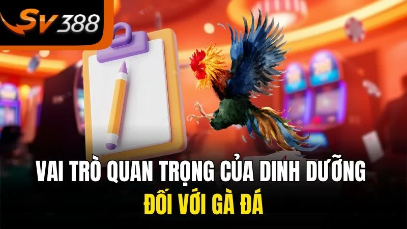 Lựa Chọn Thức Ăn Cho Gà Đá Giúp Chiến Kê Luôn Sung Mãn 1 Vai trò quan trọng của dinh dưỡng đối với gà đá