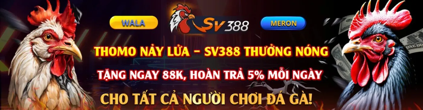 Trang chủ 1 sv388